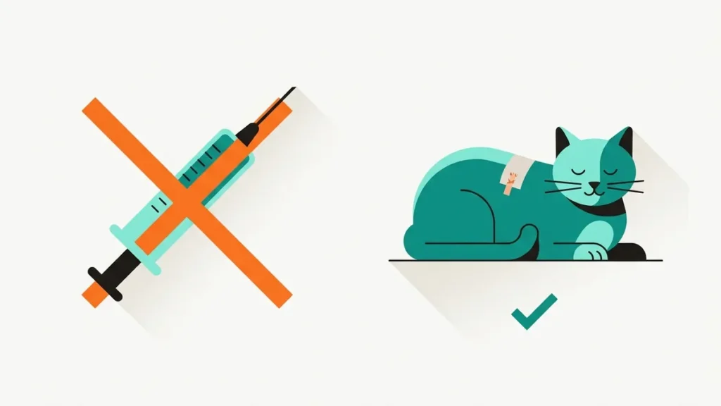 Vacina para gato não engravidar não existe: o que realmente funciona