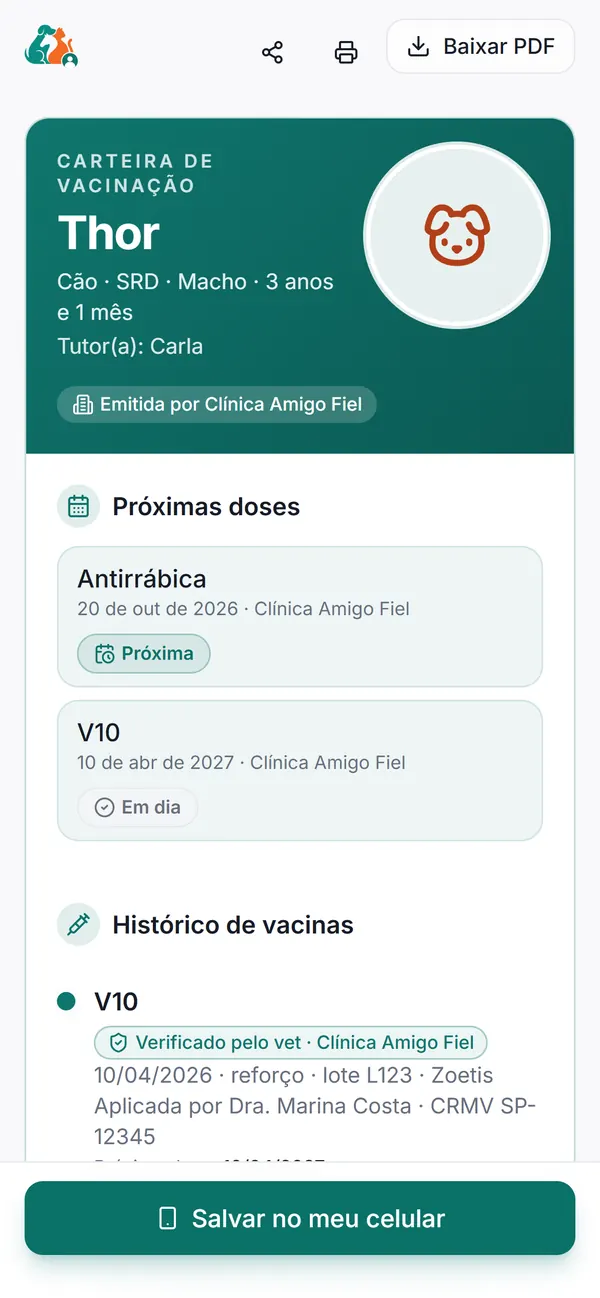 Carteira de vacinação do Thor aberta no celular da tutora, com as próximas doses